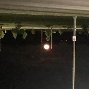 LIGHT X SHADOW X SUN X MOON X VOID