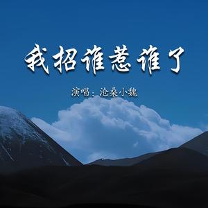 我招谁惹谁了