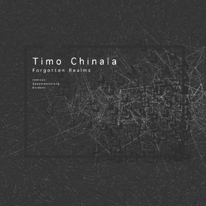 Forgotten Realms (Evident 'Together We Can' Remix)