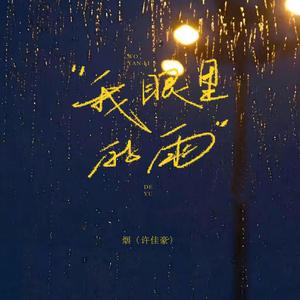 我眼里的雨