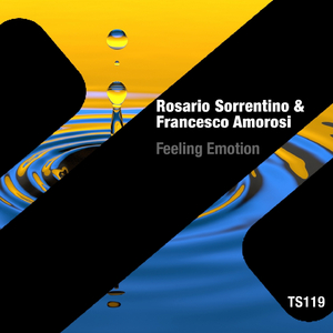 Feeling Emotion (Original Mix)