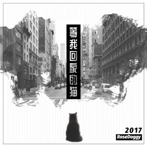等我回家的猫（翻自 Sirkul）