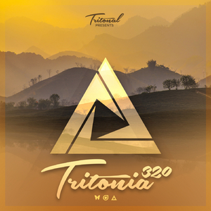 Focus (Tritonia 320) (Original Mix)