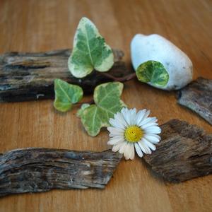 溪水潺潺之梦(轻音乐)