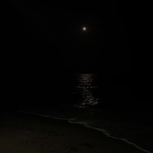 ily will never be said