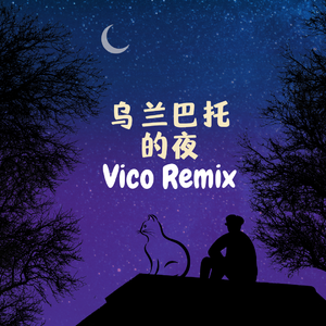 葱香科学家（王悠然）-乌兰巴托的夜 （Vico remix）