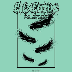i dont wanna die rn (prod. Jake Markow)