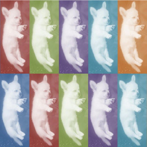 今夜からひとりぼっち