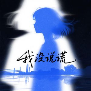 我没说谎