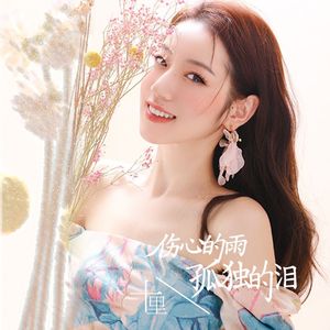 伤心的雨孤独的泪(DJ默涵版)