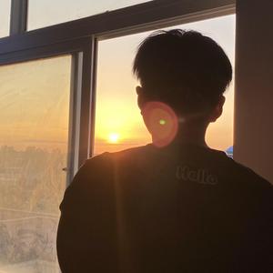 蝶儿总在空中飞