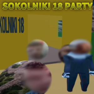 SOKOLNIKI 17 PARTY