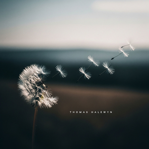 Uncarried