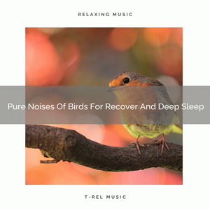 Melodic Noise Of Tweets For Gain Strength And Return