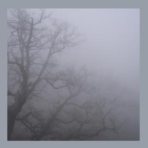 Ведет к лучшему