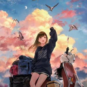 邵帅-南风北巷（dj）（妖狐music. remix）