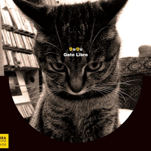 Gato