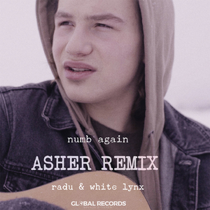 Numb Again (Asher Remix)