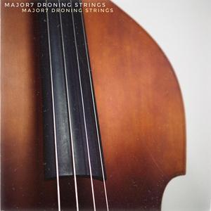 Dmaj7 Droning Strings