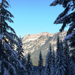 Herzliebster Jesu #8