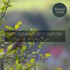 Loving Nature Sound Library - Gentle Raindrop Melodies