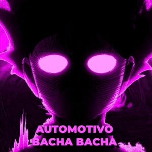 AUTOMOTIVO BACHA BACHA