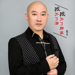 戒不了酒戒不了朋友 (DJ雨义博版)