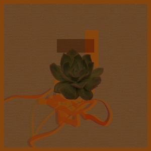 Oblivion (Shahab Sahhaf)