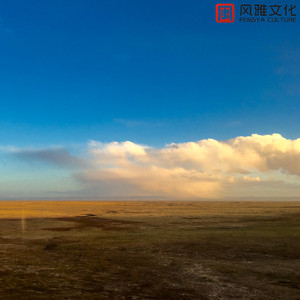 角落的咖啡馆(钢琴)