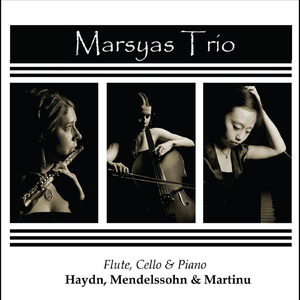 Trio No.1 in D Minor, Op.49: IV. Finale