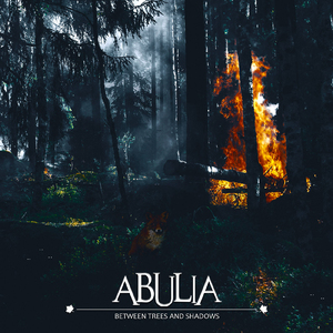 Between Trees and Shadows