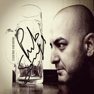 Star of the County Down