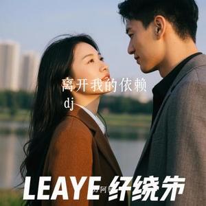 离开我的依赖 dj
