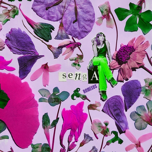 senga (WILYAM remix)