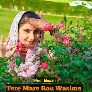 Tere Mare Rou Wasima
