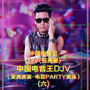 中国电音王DJV(亚洲巡演电音PARTY现场)(28)