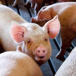 DON'T WORRY(ptod by WJCTION)