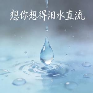 想你想得泪水直流（我在梦里与你相见）