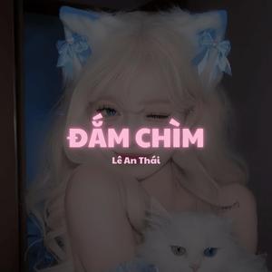 Dam Chim