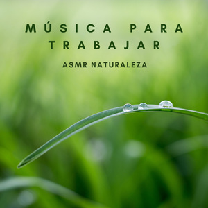 Música Nostálgica De Montañas