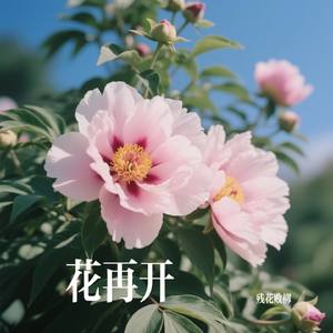 花再开