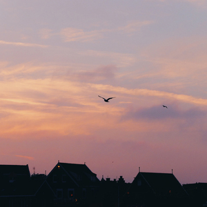 我能把你比作落日吗 (Sunset With You)