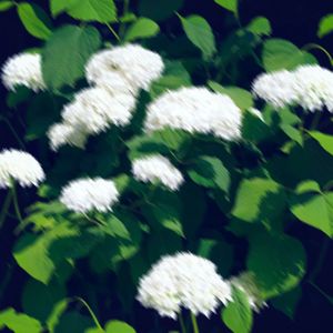 开往春天的地铁