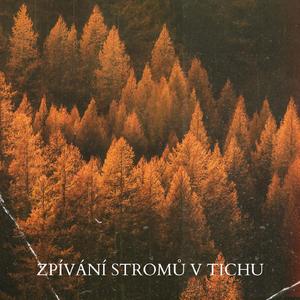 Klouzání na Vlnách Klidu