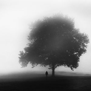 Foggy