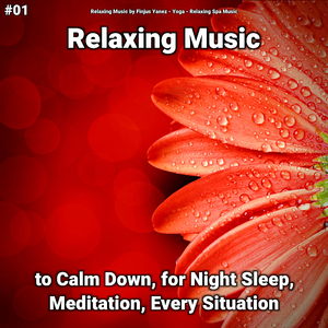 Relaxation Music Pt. 15