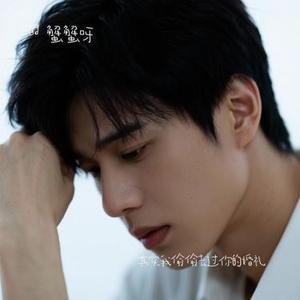 其实我偷偷去过你的婚礼  (Cover 幕辰星宇)