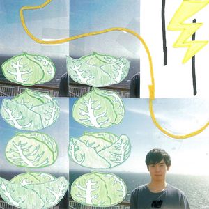 種のはじける木