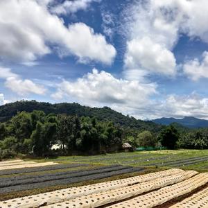 ปลายฝนต้นหนาว