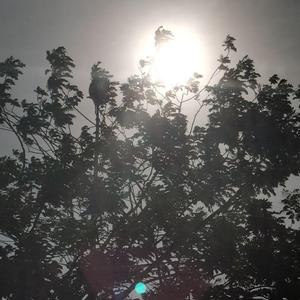 未完结的∧篇章